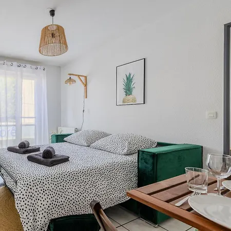 Apartment L'ecrin D'emeraude - Parking -airport 15min *